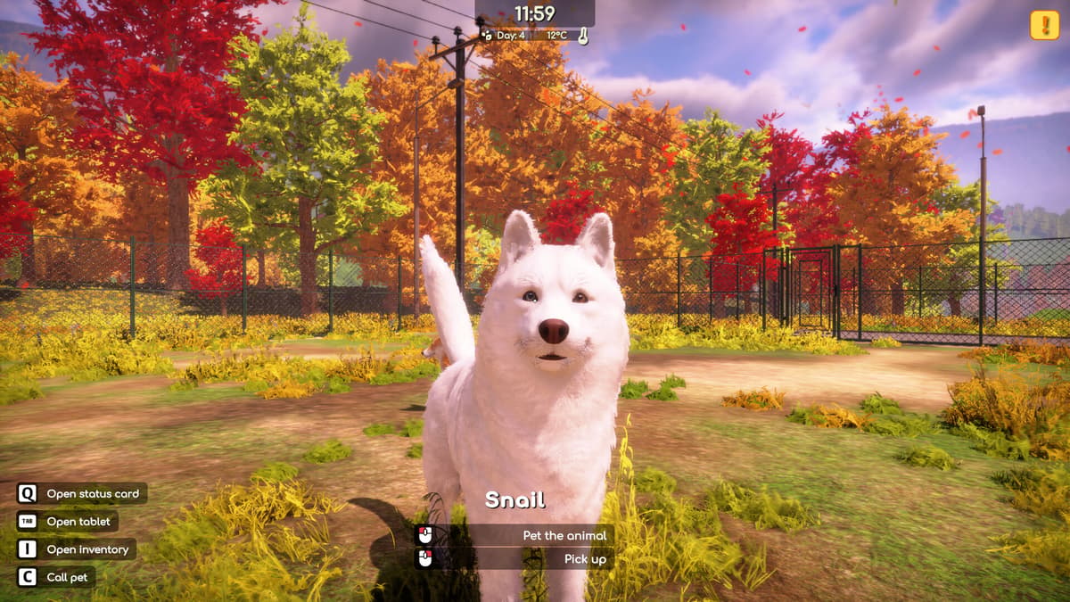 Animal Shelter 2