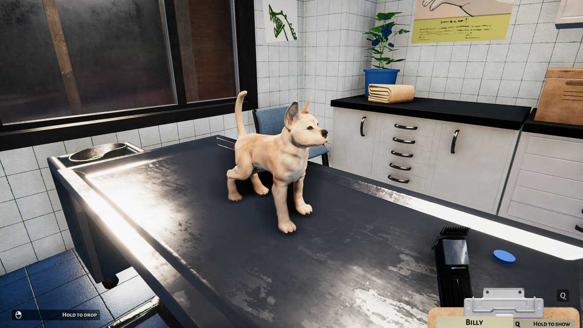 Picture of Animal Shelter - Puppies & Kittens DLC
