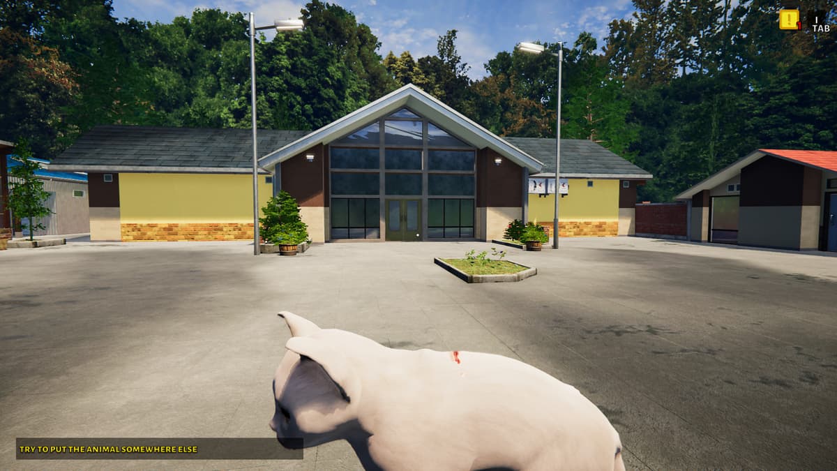 Picture of Animal Shelter - Puppies & Kittens DLC