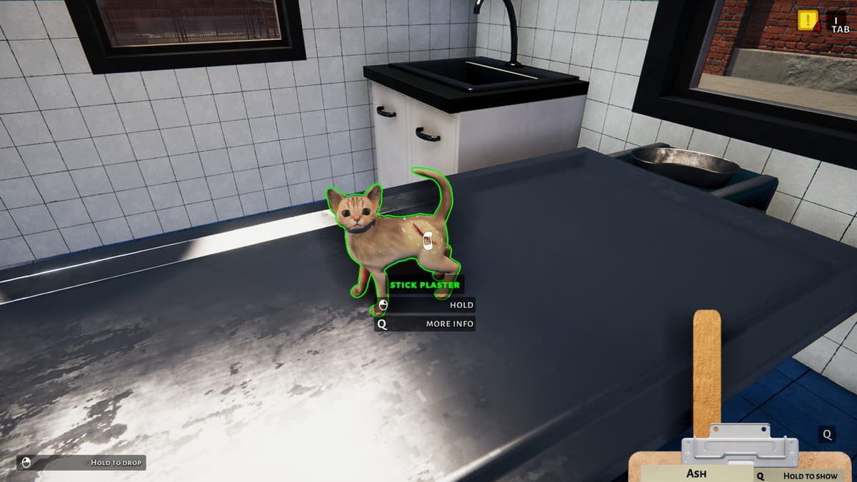 Picture of Animal Shelter - Puppies & Kittens DLC