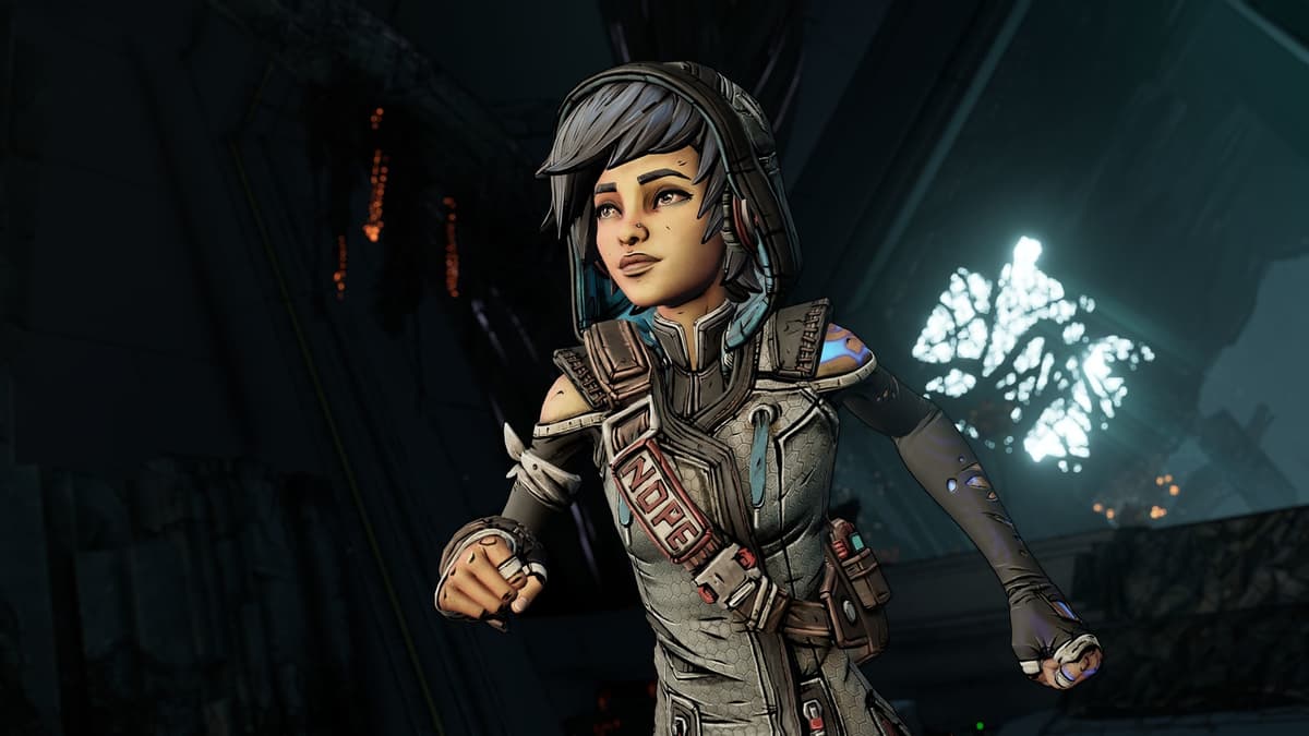 Borderlands 3: Director's Cut