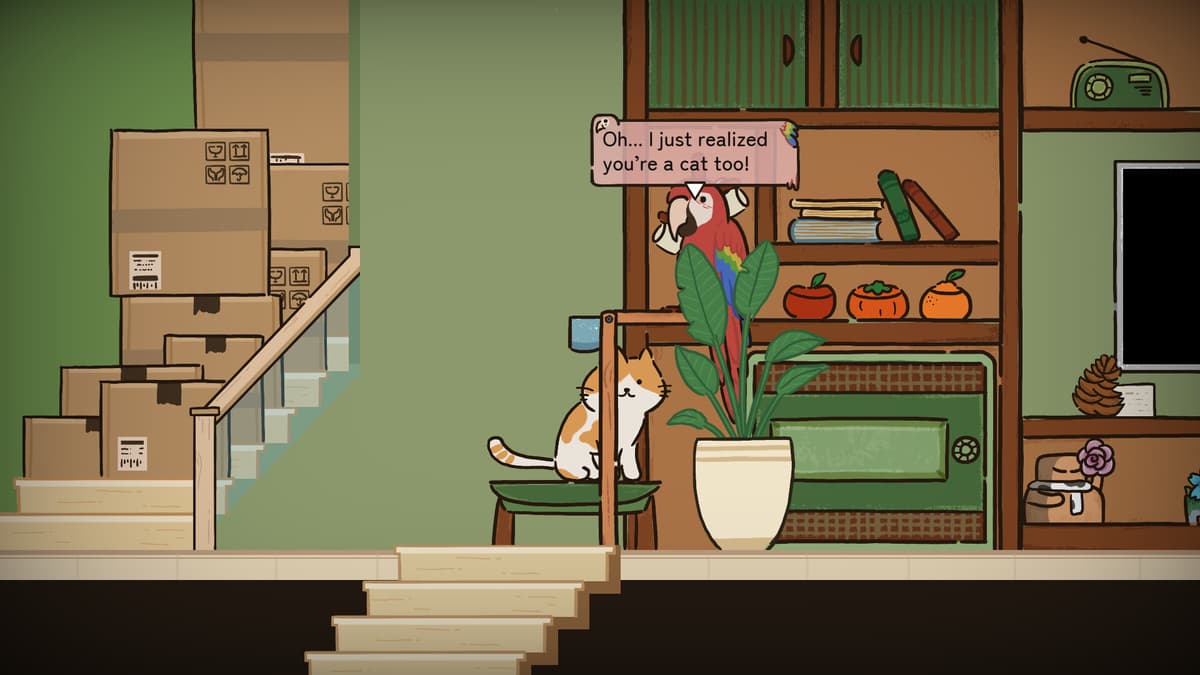 Cat at Home