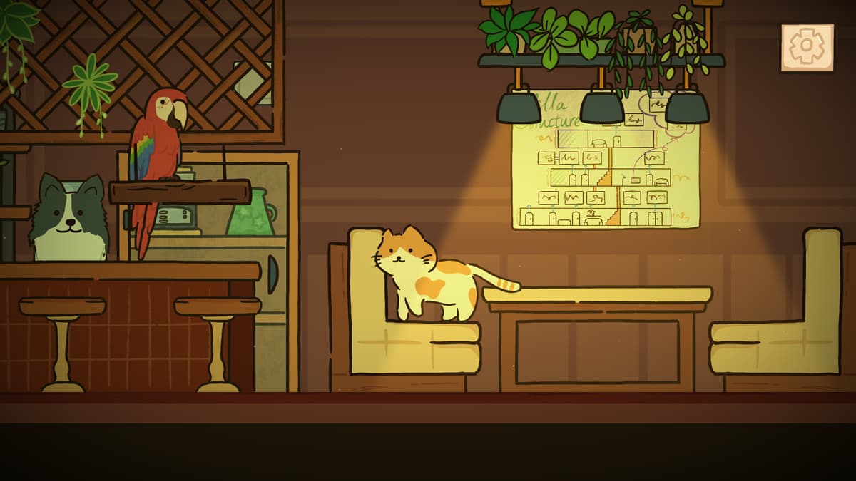Cat at Home