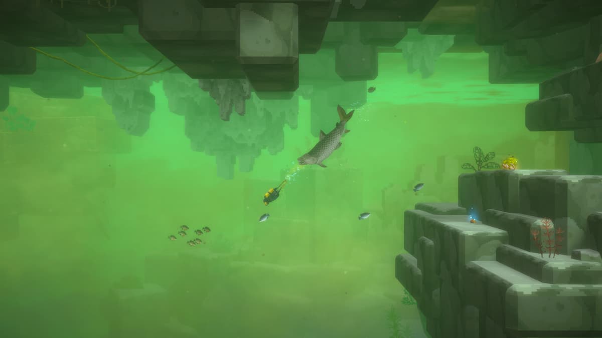 DAVE THE DIVER - In the Jungle Bundle