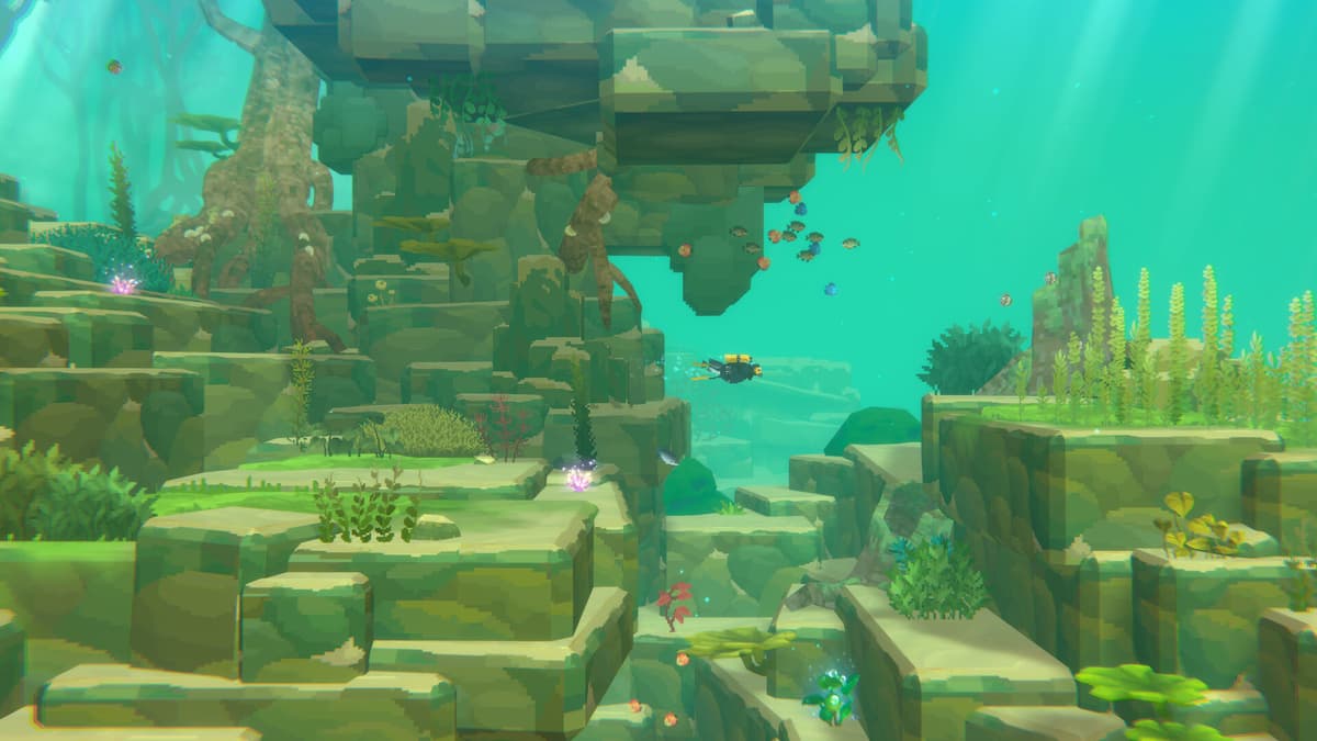 DAVE THE DIVER - In the Jungle Bundle