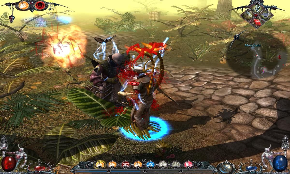 Picture of Dawn of Magic 2