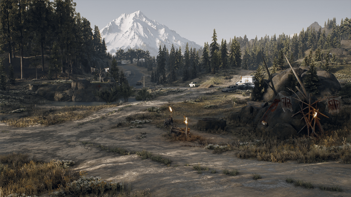 Picture of Days Gone