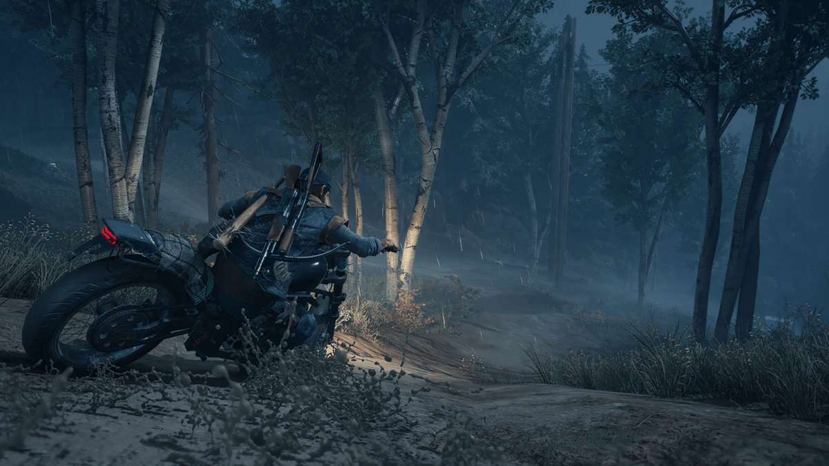 Picture of Days Gone