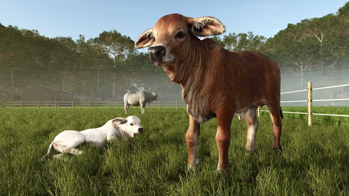Farming Simulator 25 - Beans & Alpacas Edition