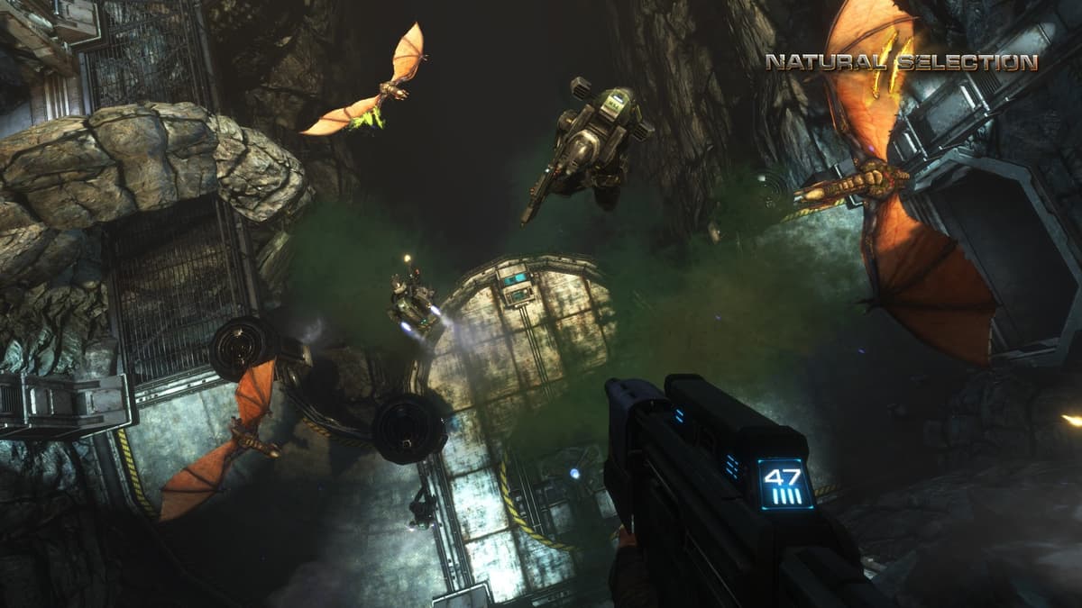Picture of Natural Selection 2