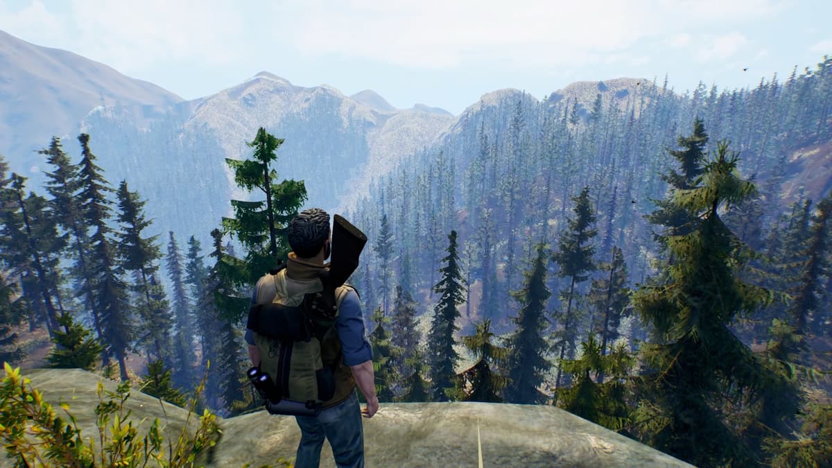 Picture of Open Country