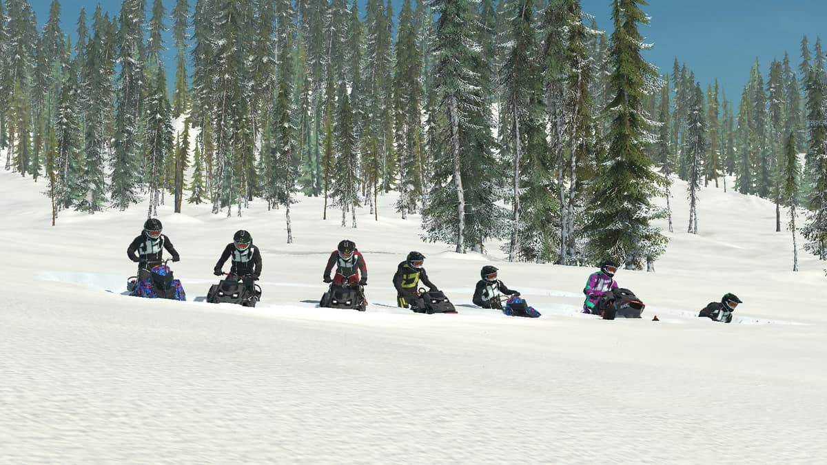 Picture of Sledders