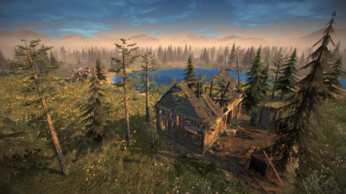 Picture of Surviving the Aftermath