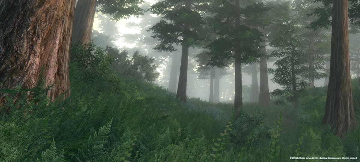 Picture of The Elder Scrolls IV: Oblivion Game of the Year Edition