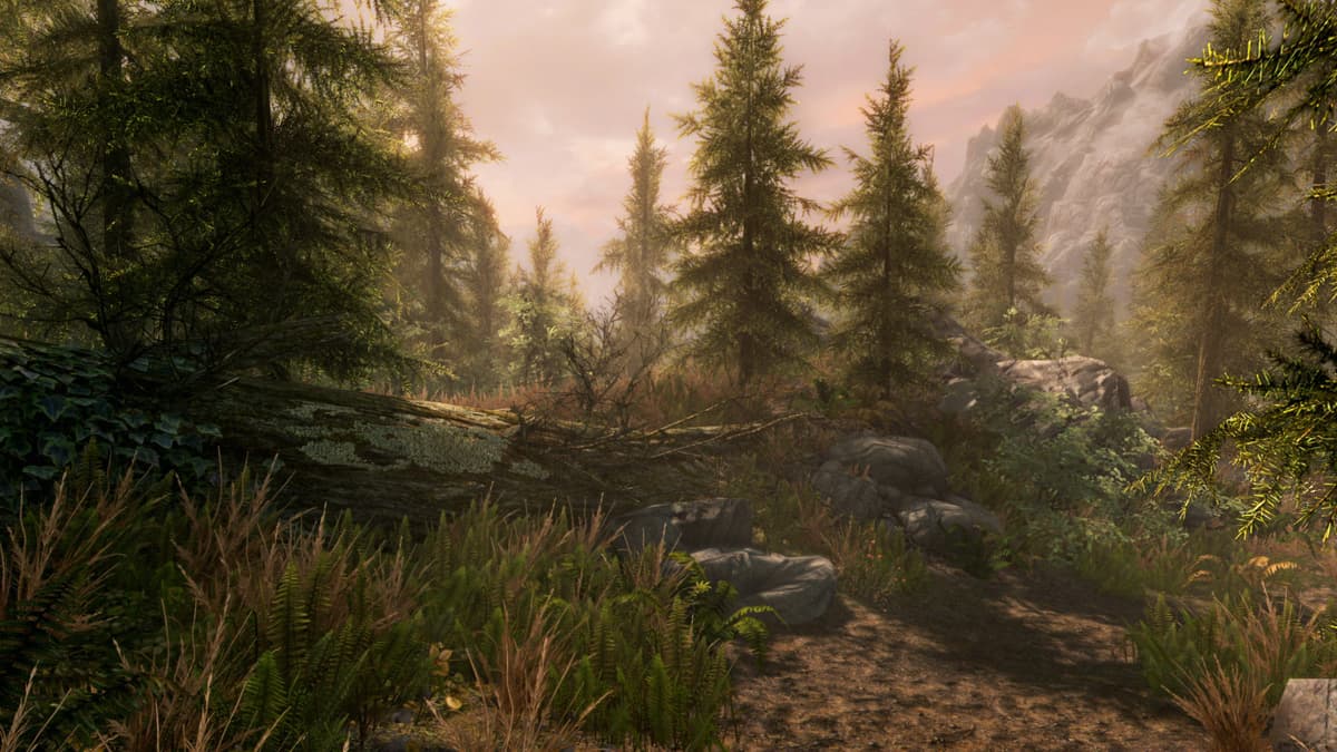 Picture of The Elder Scrolls V: Skyrim Special Edition