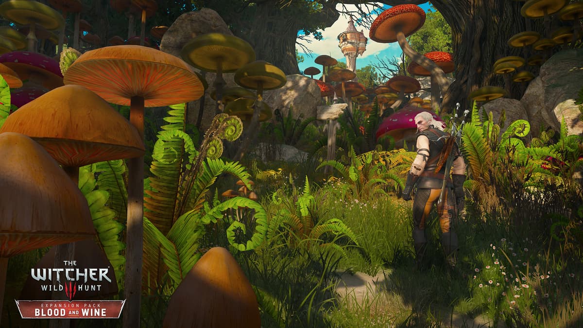 Picture of The Witcher 3: Wild Hunt Expansion Pass Xbox One