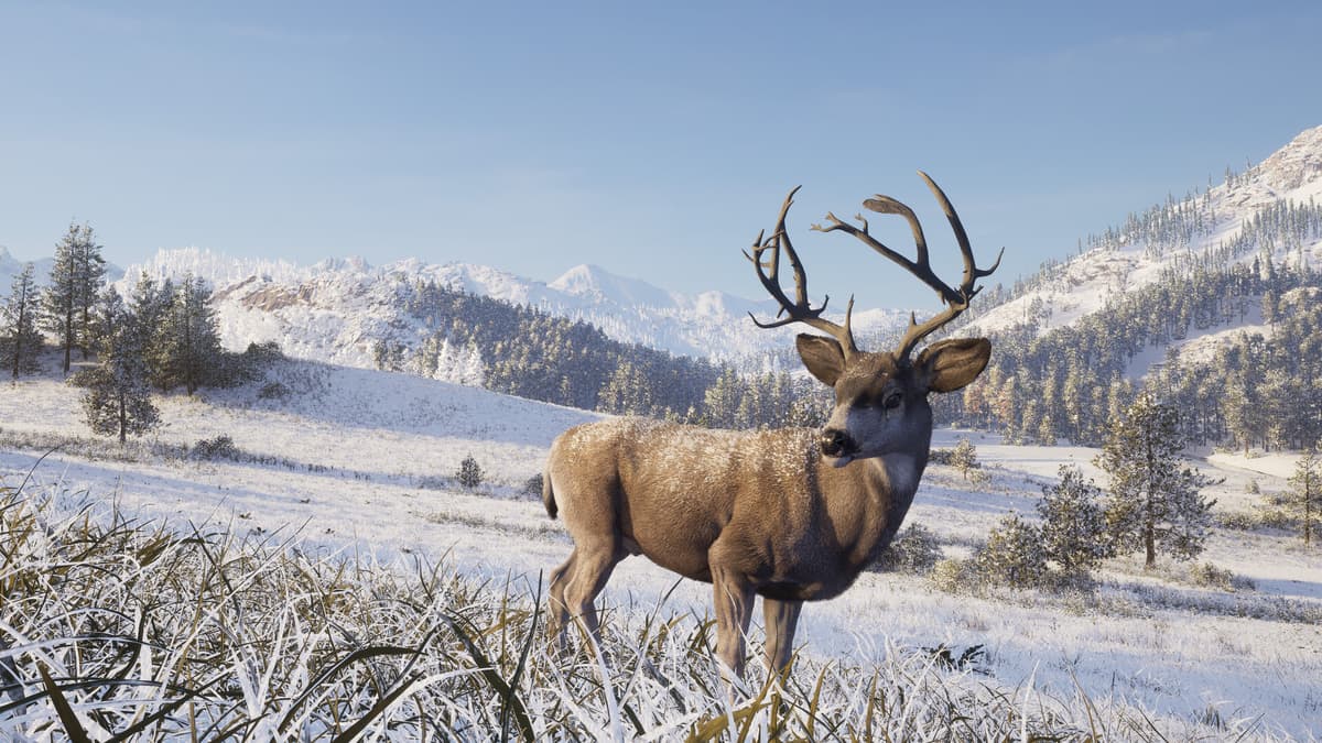 Way of the Hunter 2