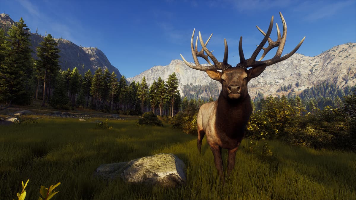 Picture of Way of the Hunter Elite Edition