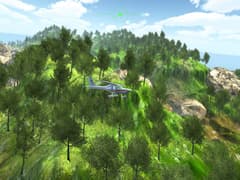 Picture of Island Flight Simulator