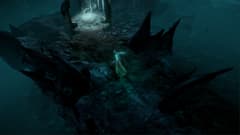 Picture of Shadows: Awakening