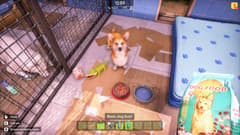 Animal Shelter 2
