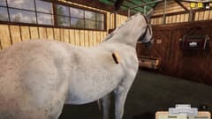Picture of Animal Shelter - Horse Shelter DLC