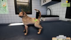 Picture of Animal Shelter - Puppies & Kittens DLC