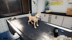 Picture of Animal Shelter - Puppies & Kittens DLC