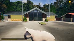 Picture of Animal Shelter - Puppies & Kittens DLC