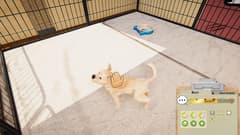 Picture of Animal Shelter - Puppies & Kittens DLC