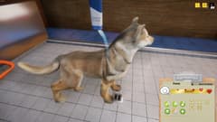 Picture of Animal Shelter