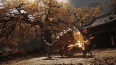 Black Myth: Wukong Digital Deluxe Edition