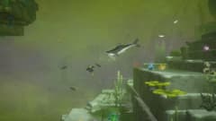 DAVE THE DIVER - In the Jungle Bundle