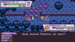 Dokimon Quest