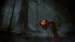 Picture of Elden Ring - Shadow of the Erdtree - Xbox Series X|S/Xbox One