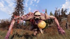 Picture of Fallout 76