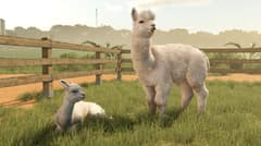 Farming Simulator 25 - Beans & Alpacas Edition