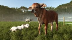 Farming Simulator 25 - Beans & Alpacas Edition