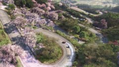 Picture of Forza Horizon 6: Standard Edition - Xbox Series X|S/Win10