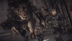 Picture of Gears of War: Ultimate Edition - Win10