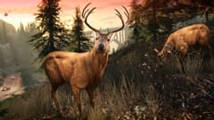 Picture of Grand Theft Auto V Enhanced