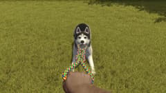 Picture of House Flipper Pets DLC