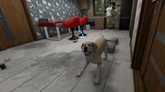 Picture of House Flipper Pets VR