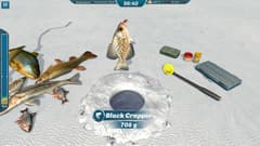 Picture of Ice Lakes