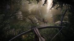 Picture of Kingdom Come: Deliverance II - Royal Edition