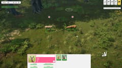 Picture of Natural Instincts: European Forest