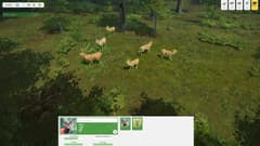 Picture of Natural Instincts: European Forest