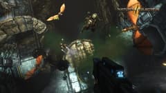 Picture of Natural Selection 2