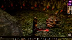 Picture of Neverwinter Nights: Enhanced Edition