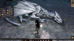 Picture of Neverwinter Nights: Enhanced Edition